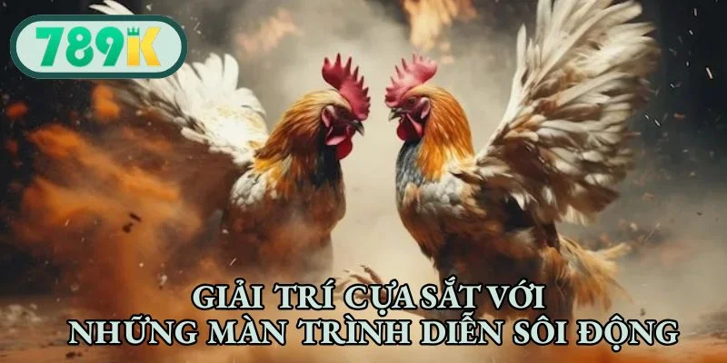 Giải trí cựa sắt với những màn trình diễn sôi động